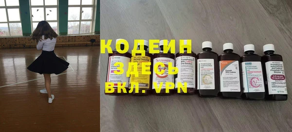 скорость Каменка