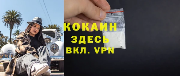 скорость Каменка