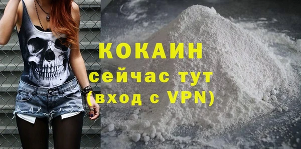 скорость Каменка