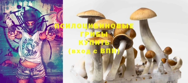 амф Каменск-Шахтинский