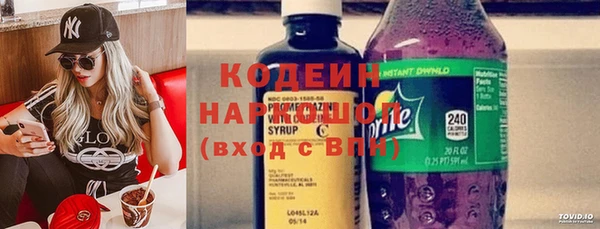 прущие грибы Иннополис