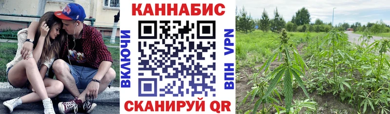 Марихуана MAZAR  где купить наркотик  Ленинск 